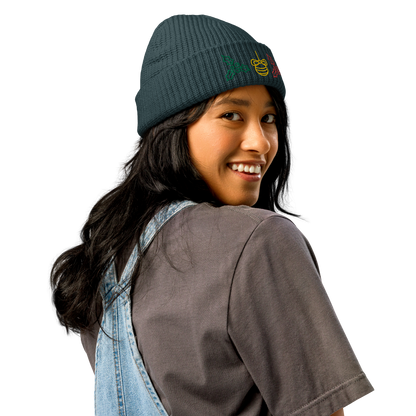 XMAS beanie