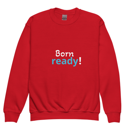 Youth crewneck sweatshirt