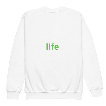 Youth crewneck sweatshirt